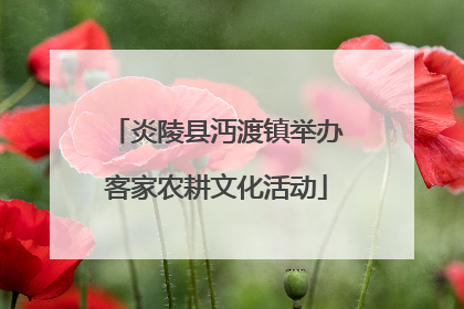 炎陵县沔渡镇举办客家农耕文化活动