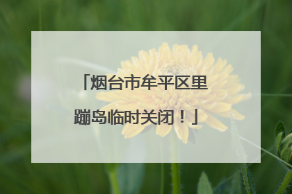 烟台市牟平区里蹦岛临时关闭！
