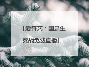 爱奇艺：国足生死战免费直播