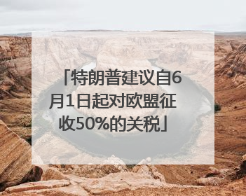 特朗普建议自6月1日起对欧盟征收50%的关税