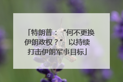 特朗普：“何不更换伊朗政权？” 以持续打击伊朗军事目标