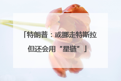 特朗普：或挪走特斯拉 但还会用“星链”