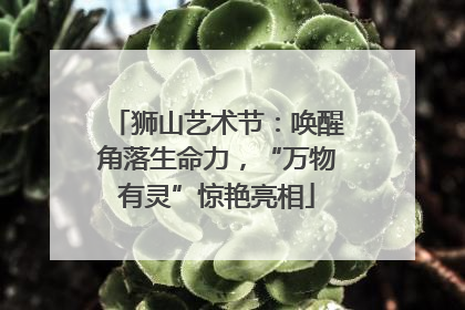 狮山艺术节：唤醒角落生命力，“万物有灵”惊艳亮相