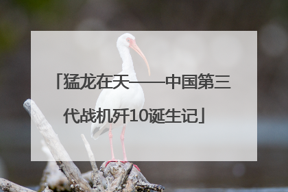 猛龙在天——中国第三代战机歼10诞生记