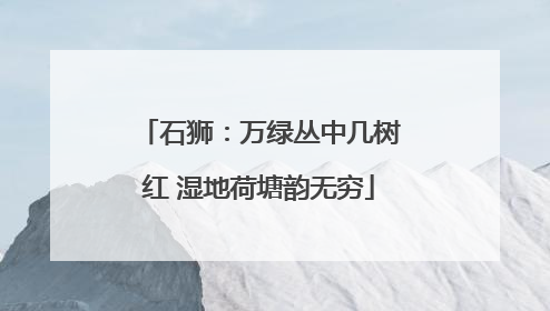 石狮：万绿丛中几树红 湿地荷塘韵无穷