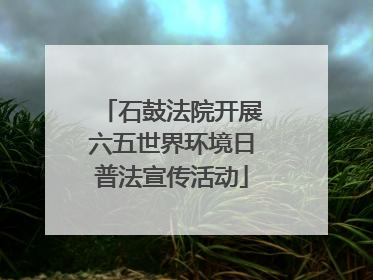 石鼓法院开展六五世界环境日普法宣传活动