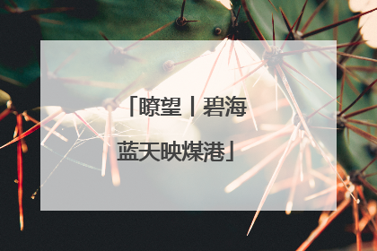 瞭望丨碧海蓝天映煤港