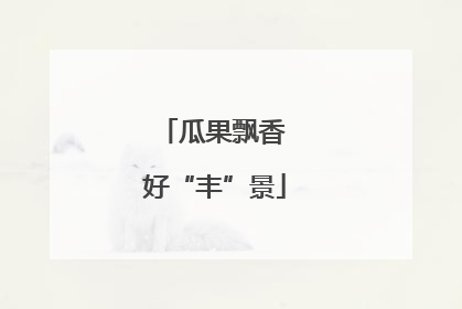 瓜果飘香 好“丰”景