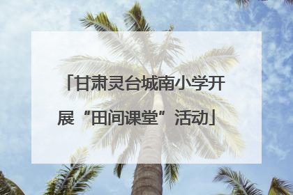 甘肃灵台城南小学开展“田间课堂”活动