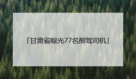 甘肃省曝光77名醉驾司机
