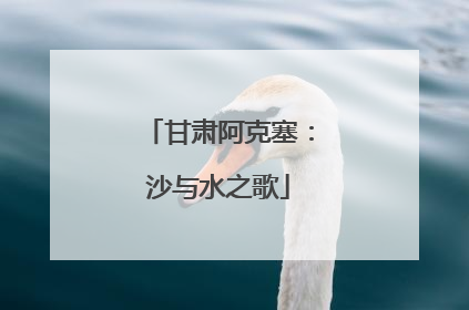 甘肃阿克塞：沙与水之歌