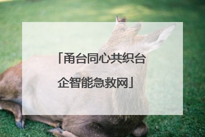 甬台同心共织台企智能急救网