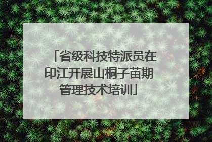 省级科技特派员在印江开展山桐子苗期管理技术培训