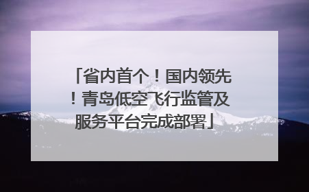 省内首个！国内领先！青岛低空飞行监管及服务平台完成部署