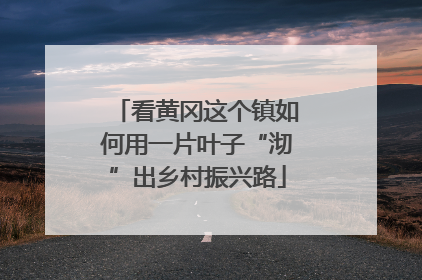 看黄冈这个镇如何用一片叶子“沏”出乡村振兴路