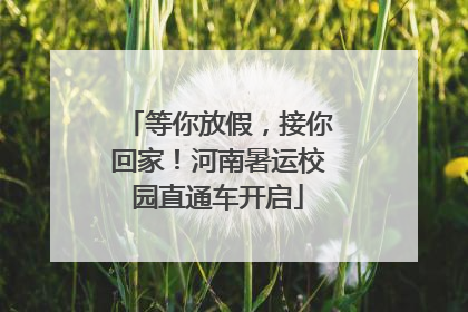 等你放假，接你回家！河南暑运校园直通车开启