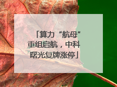 算力“航母”重组启航，中科曙光复牌涨停