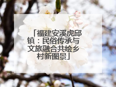 福建安溪虎邱镇：民俗传承与文旅融合共绘乡村新图景