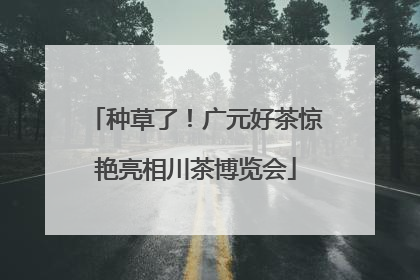 种草了！广元好茶惊艳亮相川茶博览会