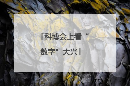 科博会上看“数字”大兴