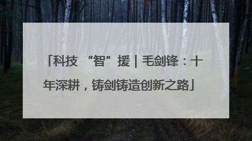 科技 “智”援｜毛剑锋：十年深耕，铸剑铸造创新之路