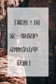 稀客！国家一级保护动物穿山甲获救