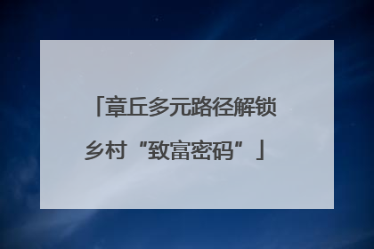 章丘多元路径解锁乡村“致富密码”