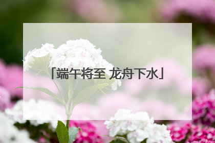 端午将至 龙舟下水