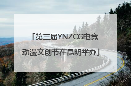 第三届YNZCG电竞动漫文创节在昆明举办