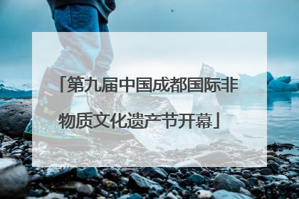 第九届中国成都国际非物质文化遗产节开幕