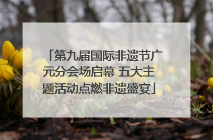 第九届国际非遗节广元分会场启幕 五大主题活动点燃非遗盛宴