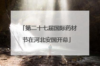 第二十七届国际药材节在河北安国开幕