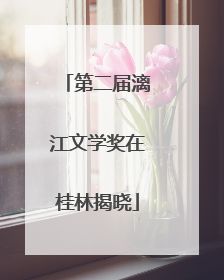 第二届漓江文学奖在桂林揭晓