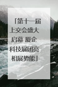 第十一届上交会盛大启幕 厦企科技展团亮相展势能