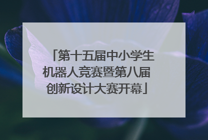 第十五届中小学生机器人竞赛暨第八届创新设计大赛开幕