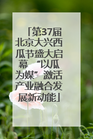 第37届北京大兴西瓜节盛大启幕 “以瓜为媒”激活产业融合发展新动能