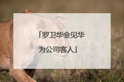 罗卫华会见华为公司客人