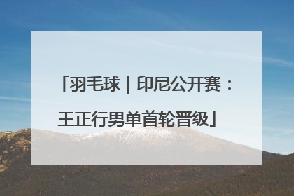 羽毛球｜印尼公开赛：王正行男单首轮晋级