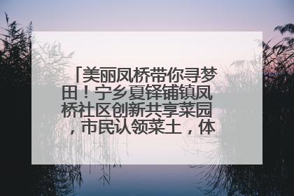 美丽凤桥带你寻梦田！宁乡夏铎铺镇凤桥社区创新共享菜园，市民认领菜土，体验耕种收获乐趣