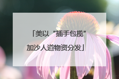 美以“插手包揽”加沙人道物资分发