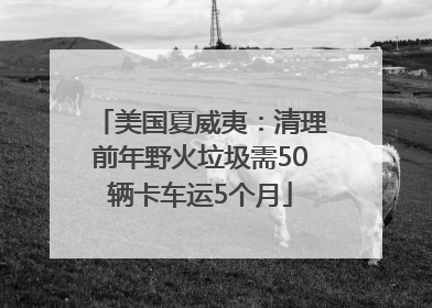 美国夏威夷：清理前年野火垃圾需50辆卡车运5个月