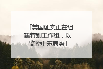 美国证实正在组建特别工作组，以监控中东局势