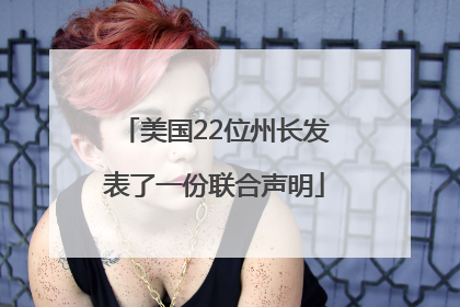美国22位州长发表了一份联合声明