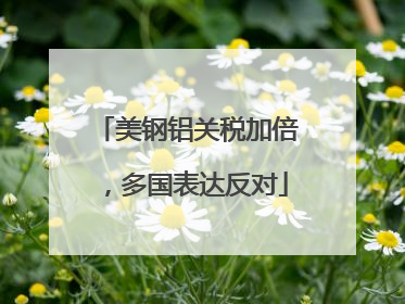 美钢铝关税加倍，多国表达反对