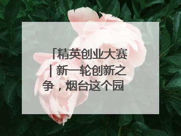 精英创业大赛｜新一轮创新之争，烟台这个园区赢了？