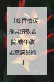 粽香情暖豫灵镇敬老院 端午敬老意满桑榆