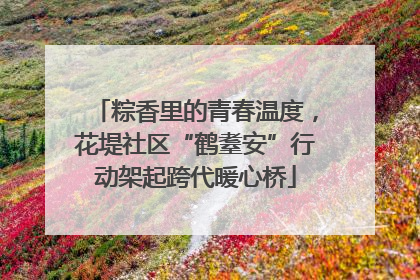 粽香里的青春温度，花堤社区“鹤耋安”行动架起跨代暖心桥