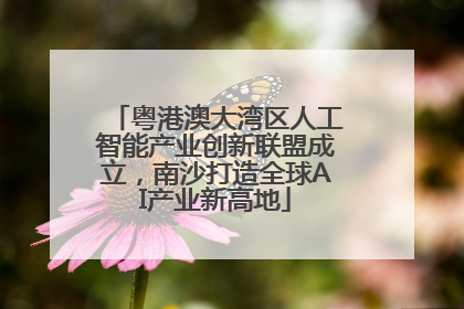 粤港澳大湾区人工智能产业创新联盟成立，南沙打造全球AI产业新高地