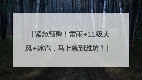 紧急预警！雷雨+11级大风+冰雹，马上就到潍坊！