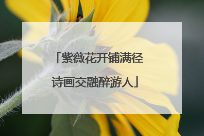 紫薇花开铺满径 诗画交融醉游人